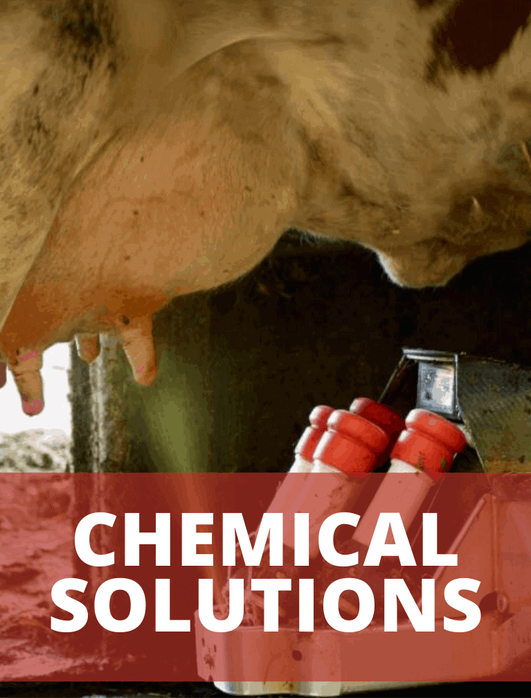 chemical solutions milking robots